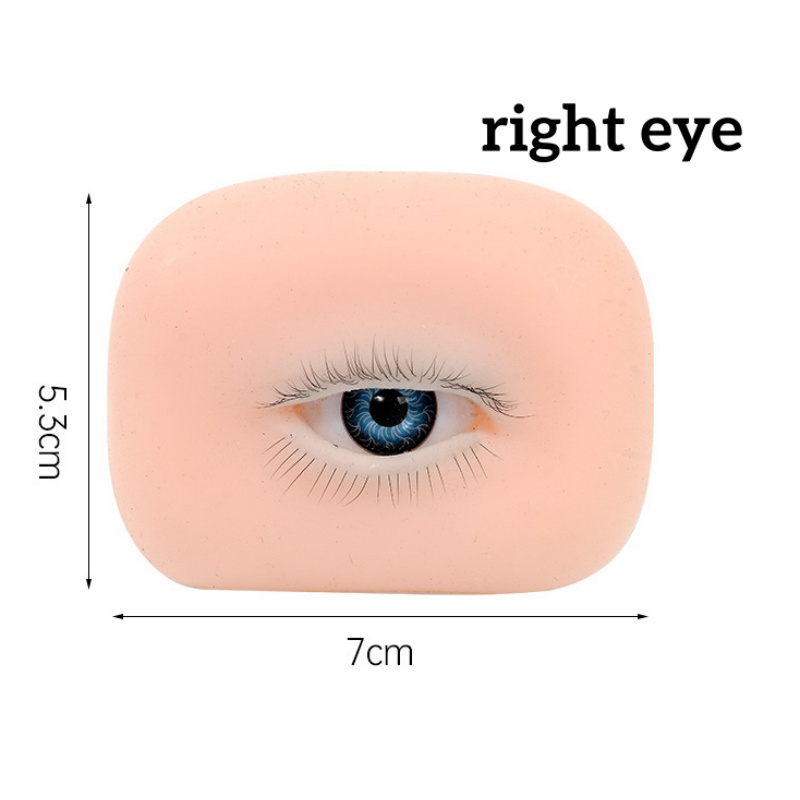 Cabeça de manequim realista de - Eyelash Extension Open Eye avaliação e preço