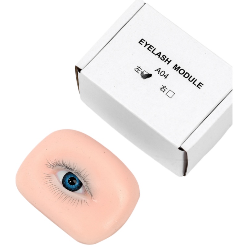 Cabeça de manequim realista de - Eyelash Extension Open Eye avaliação e preço