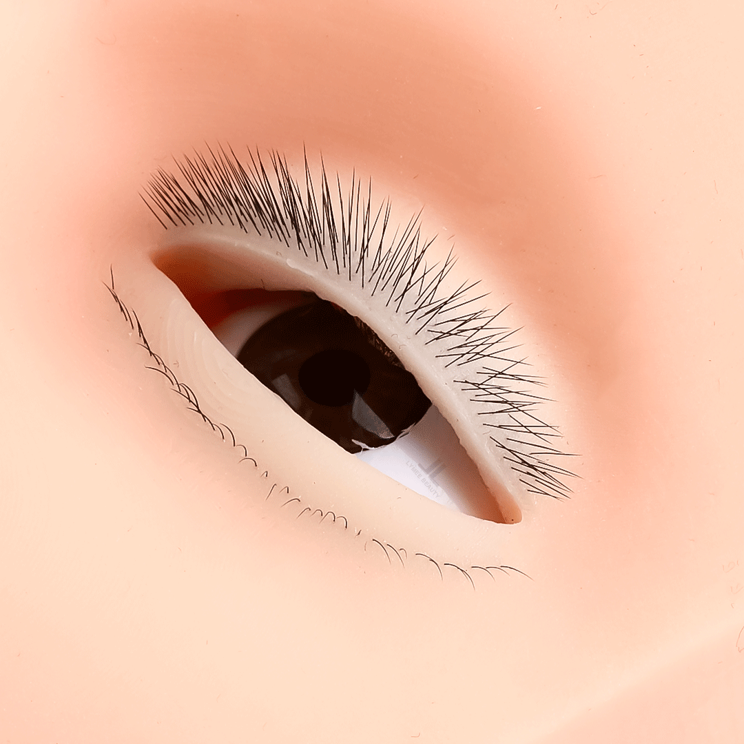 Mini manequim de 4 camadas par - Eyelash Extension Open Eye avaliação e preço